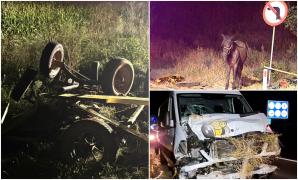 Căruţă făcută bucăţi, pe un drum din Mureş. Un bărbat şi unul dintre caii înhămaţi au murit după impact