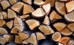 Lemnele de foc, mai scumpe în acest an. Cu cât a ajuns să se vândă un metru cub, după creşterea TVA