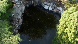 Copil, înecat la grădiniţă, după ce a fost lăsat singur. Educatoarea şi-a dat seama de abia la numărătoare