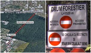 Război între Greenfield şi ONG-uri pe drumul forestier din Pădurea Băneasa. "Precedent extrem de periculos"