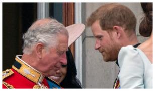 Regele Charles şi Prinţul Harry, împreună după aproape doi ani. Ce au discutat cei doi