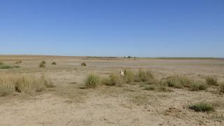 Lacul care a secat în proporţie de 98%. Peştii şi crustaceele au dispărut