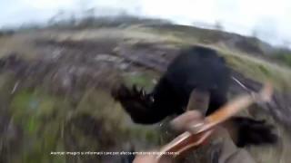 Ursoaica din Mureş care a desfigurat un localnic a fost împuşcată. Animalul, găsit după 33 de ore