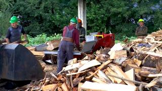 Cât a ajuns să coste un metru cub de lemne. Românii se grăbesc să-şi facă provizii pentru sezonul rece