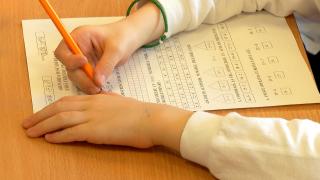 Evaluările naționale din clasele a II-a, a IV-a și a VI-a vor fi schimbate. Vor cuprinde itemi de tip PISA