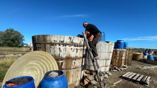 Superalimentul care e de 2 ori mai scump la raft decât la producător. E păstrat în bazine îngropate în pământ