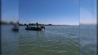 Specia care s-a înmulţit rapid în Marea Neagră. Considerată delicatesă în SUA, se vinde cu 100 de dolari