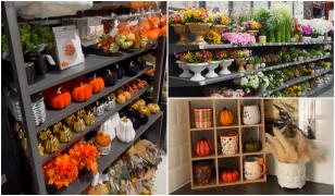 Toamna în stil american. Câţi bani scot românii din buzunar ca să îşi decoreze casele după noile tendinţe