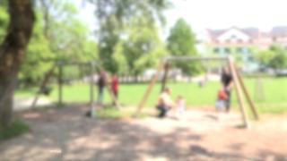 Agresorul băiatului de 8 ani din Oradea, identificat: are doar 11 ani și ar fi atacat la comandă