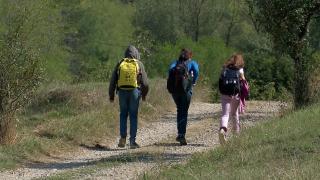 Comuna din România unde copiii își riscă viața printre urși și șacali ca să ajungă la timp la şcoală