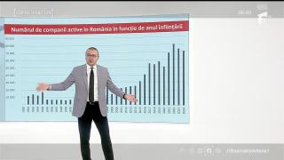 Unde se fac afaceri în România şi care este profitul la nivel de sector