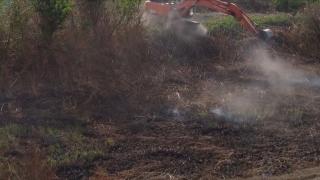 Fenomen misterios în Timiș. Pământul fumegă fără foc: "Respirația e usturătoare"