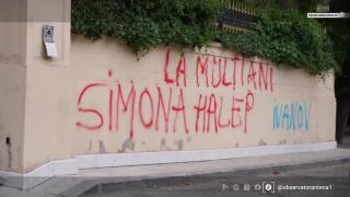 Gardul palatului lui Gigi Becali, vandalizat. Ce amendă a luat făptaşul
