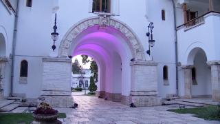 Palatul Cotroceni, iluminat în roz. Mirabela Grădinaru, alături de femeile care luptă cu cancerul de sân