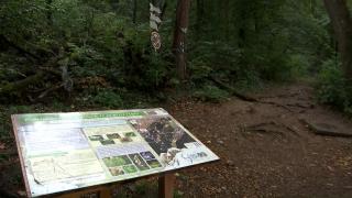 Paradisurile nimănui. Cum poate salva fuziunea agențiilor de mediu ariile naturale protejate din Brașov