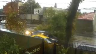 Momentul în care un copac se prăbușește peste o mașină aflată în mers, în Bucureşti. Două vehicule, avariate