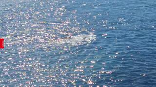 Imagini inedite la Constanţa: un curajos, surprins făcând baie în Marea Neagră la doar 13 grade Celsius