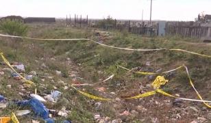 Copilul de 3 ani ucis de câini, victima ignoraţei. Primarul dă vina pe localnici: "Mulţi sunt câinii lor"