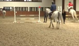 Românii, tot mai pasionați de echitație. Caii fac spectacol la Cluj