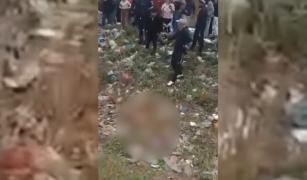 Copil de trei ani din Vrancea, ucis de câini. Micuţul ieşise din curte fără ca cineva să-l observe