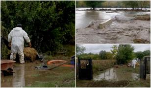 O comună din România, transformată în "lac" după ploile din ultimele zile. Case inundate și pagube uriașe