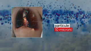Studiu naţional întins pe 23 de ani: Poluarea e vinovată pentru unul din patru cazuri de cancer pulmonar