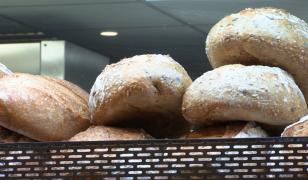 România, lider în producția de grâu în Europa, importă făină și pâine la preţuri uriaşe. Cum s-a ajuns aici