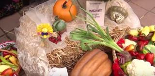 Festivalul Prazului și al Zaibărului, prilej de sărbătoare la olteni. Secretul celei mai bune pâini în țest