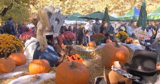 Festivalul dovlecilor a colorat parcurile din România. Plăcinte, ateliere și zeci de mii de vizitatori