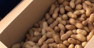 Aurul din pământ. Un fermier din Dolj a găsit reţeta perfectă cu un sortiment special de alune