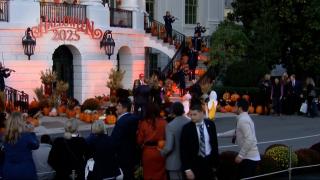 Halloween 2025. Cele mai inedite costume purtate de români la "petrecerile-monstru" din Capitală