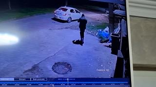 Bărbat, filmat cum fură un căţel din rasa Bichon dintr-o curte. A fost ajutat de un taximetrist