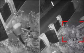 Hoţ surprins de camere în timp ce dădea o spargere în Satu Mare. A închis poarta la ieşire