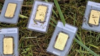Un german a descoperit o comoară în timp ce tundea iarba: 10 lingouri care valorează 30.000 de euro