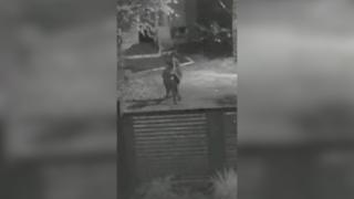 Momentul când bărbatul din Teleorman o urmăreşte şi o ucide pe Mihaela în faţa copilului lor