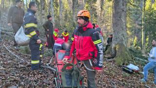 Accident mortal în județul Vâlcea. Un muncitor a fost strivit de un copac în zona montană