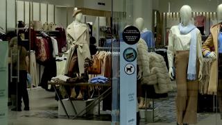 Cadouri mai puține și mai ieftine de Crăciun. Cât cheltuiesc românii în 2025 pentru surprizele de sub brad