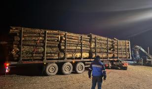 Transport ilegal de lemne, oprit de jandarmi în Rânca. 38 de metri cubi de lemn "la negru", confiscaţi