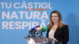 Tăierea copacilor din orașe, pedepsită cu închisoare până la 3 ani, potrivit unui nou proiect de OUG