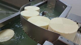 Brânza românească, vedetă internațională. Un sortiment din Harghita, premiat la World Cheese Awards