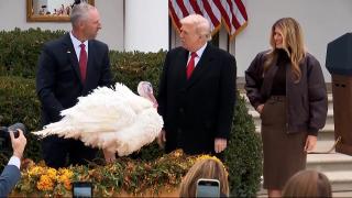 Pregătiri de sărbători la Casa Albă. Trump a graţiat doi curcani, Melania va împodobi bradul cu sute de copii