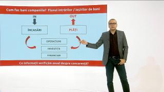 Cele trei tipuri de companii din România și cine câștigă competiția pe termen lung