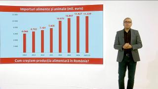 Ce preț ascuns au importurile de carne pentru România. "Leguma preferată a românilor" adânceşte deficitul