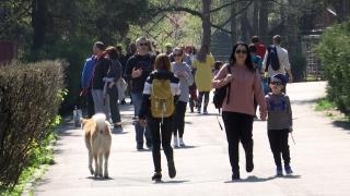 Programul prin care părinţii pot strânge 6.400 € pentru copii, timp de 18 ani. Banii nu sunt impozitaţi