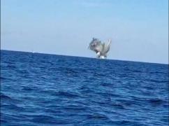 Momentul în care o dronă Sea Baby ucraineană e detonată în Marea Neagră de scafandrii români