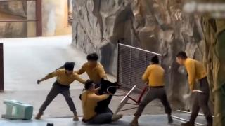 Momentul în care un urs pune la pământ un îngrijitor în China. Ar fi fost atras de mâncarea ascunsă în buzunar