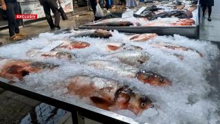 Peştele congelat, la analize de laborator. La macrou 25% e gheaţă, iar contaminarea e la limită