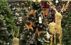 Brad natural sau artificial? Care e cea mai bună variantă pentru sărbătorile de Crăciun