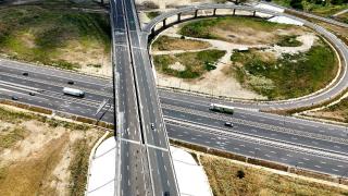 O șoferiță, despăgubiri de 11.000 de lei de la DRDP Cluj pentru un câine de pe autostradă