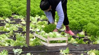 Nou impozit introdus pentru o categorie de români. 